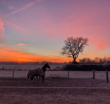 Winterfoto 2