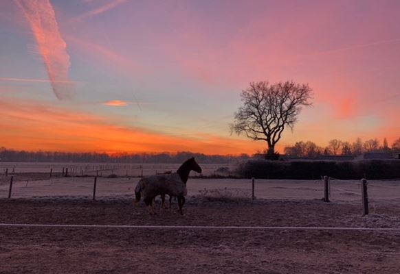 zonsondergang foto Hoeve de Roskam