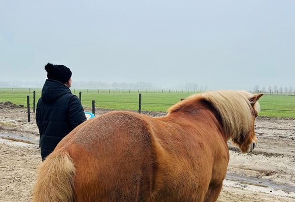 Individuele Sessies