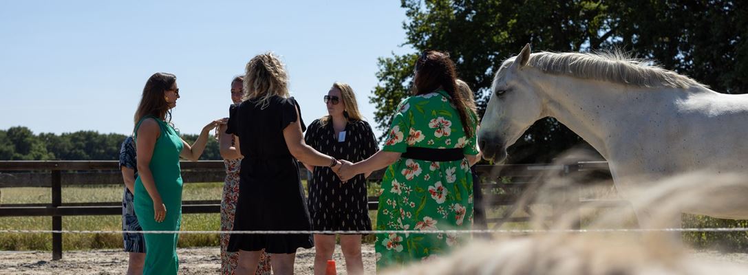 Header afbeelding