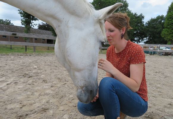 emotionele reactie van de band met het paard