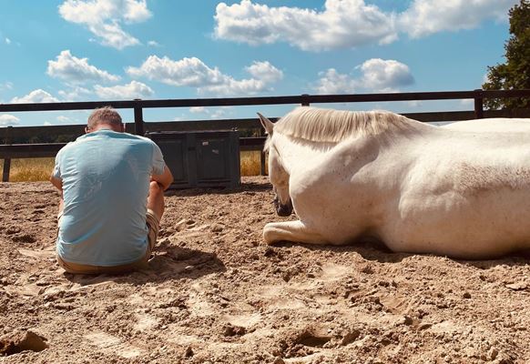 samen zitten met het paarden en je gevoelens