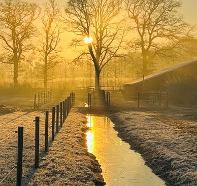 Natuur rondom de hoeve