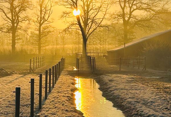 Natuur