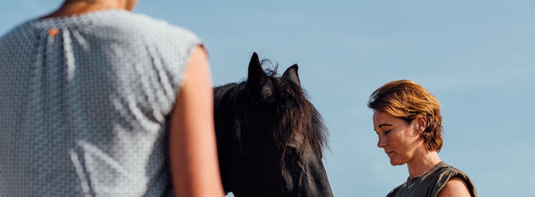Header afbeelding
