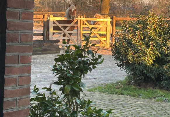 Uitzicht B&B 2