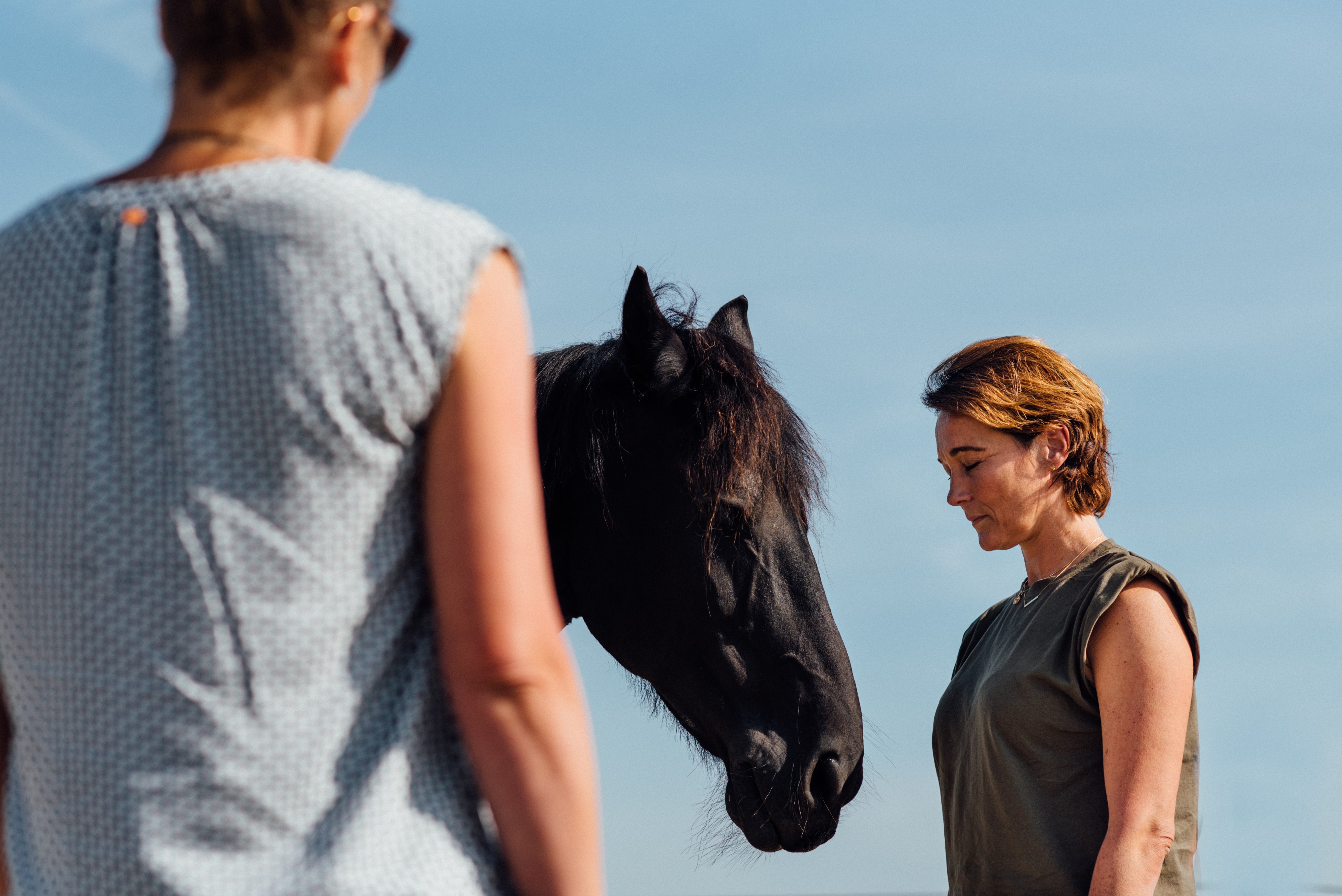 Paardencoaching sessie